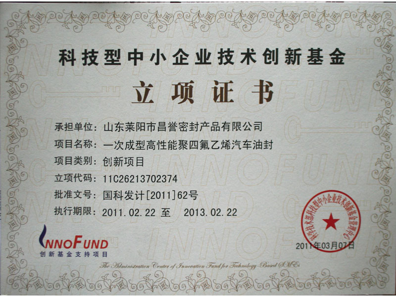 Project certificate